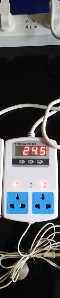 温度控制器