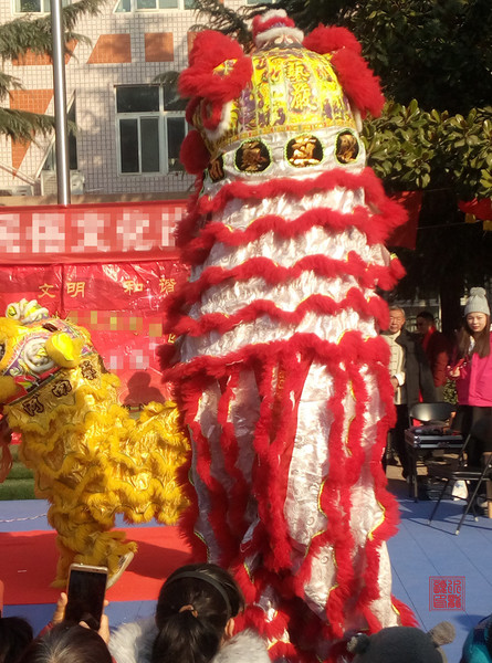 P81229-102553.jpg