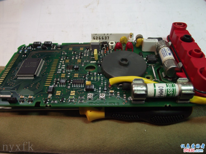 NF 8705.jpg
