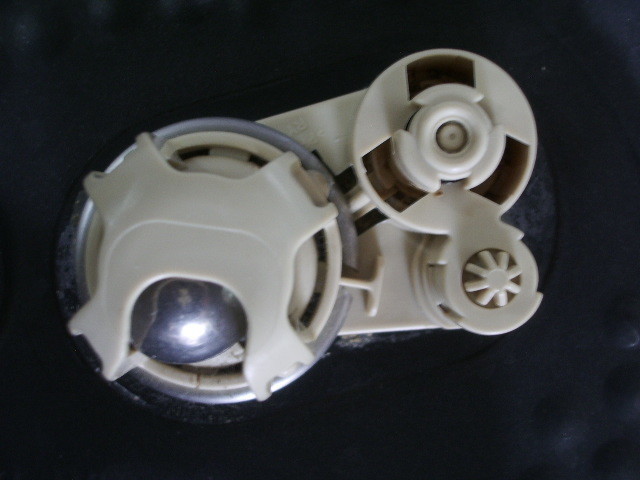IMGP5433.JPG