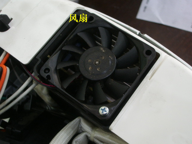 IMGP5468.JPG