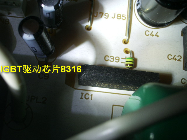 IMGP5488.JPG