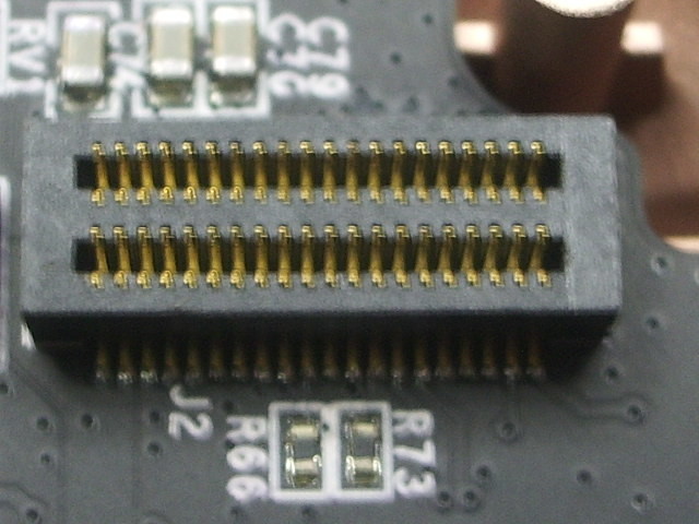 IMGP5728.JPG