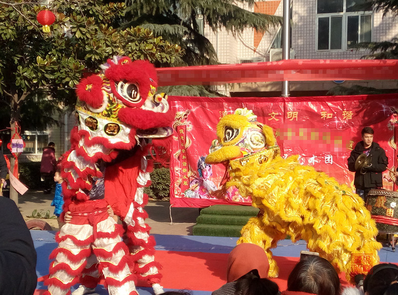 P81229-102223.jpg