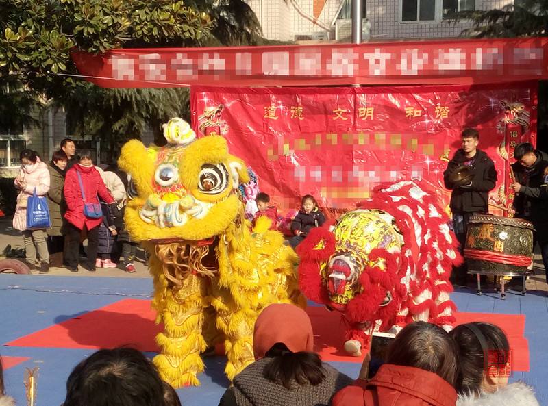 P81229-102420.jpg