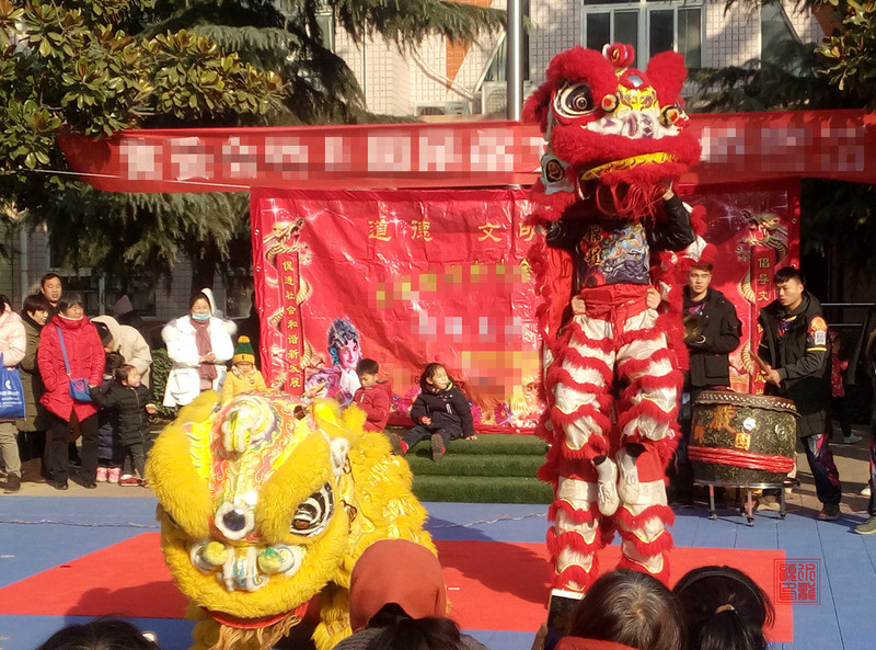 P81229-102424.jpg