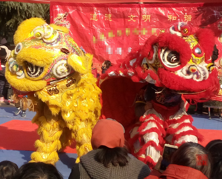 P81229-102434.jpg