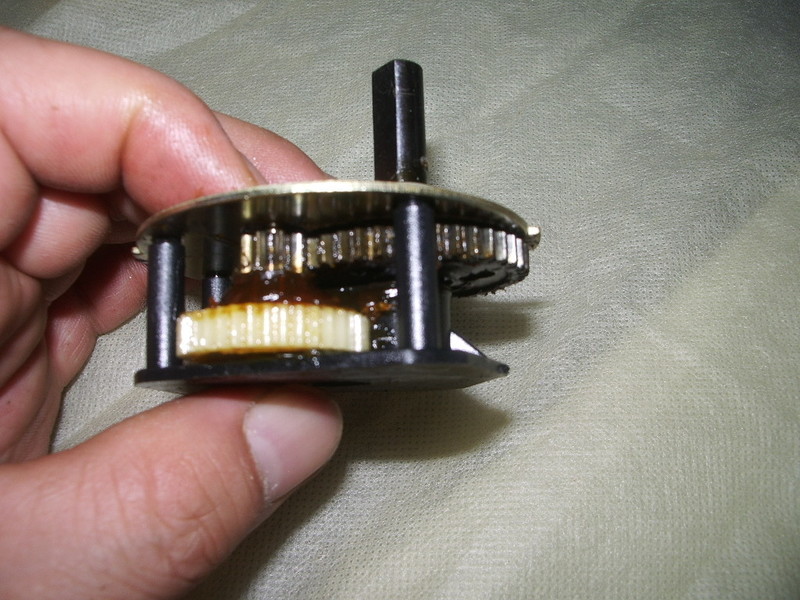 IMGP6469.JPG