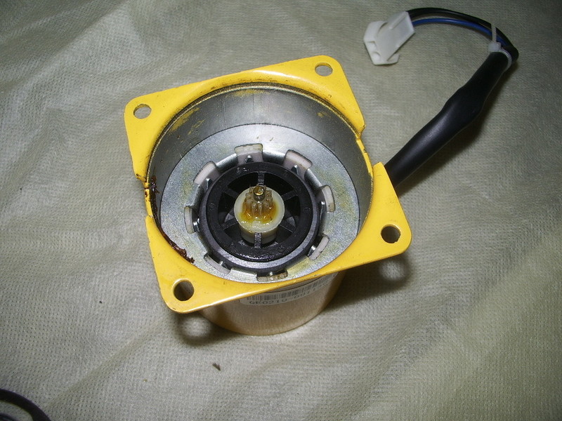IMGP6470.JPG
