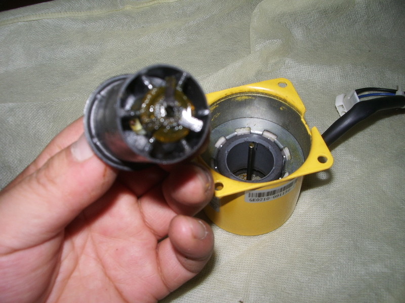 IMGP6472.JPG