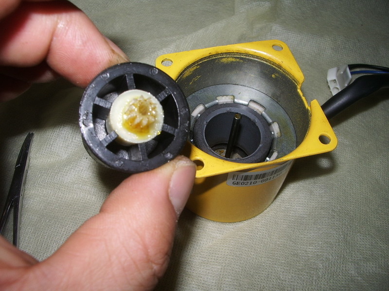 IMGP6473.JPG