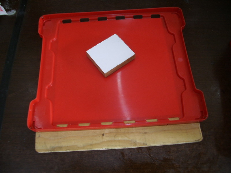 IMGP6455.JPG