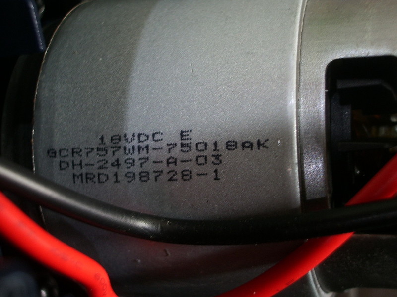 IMGP6193.JPG