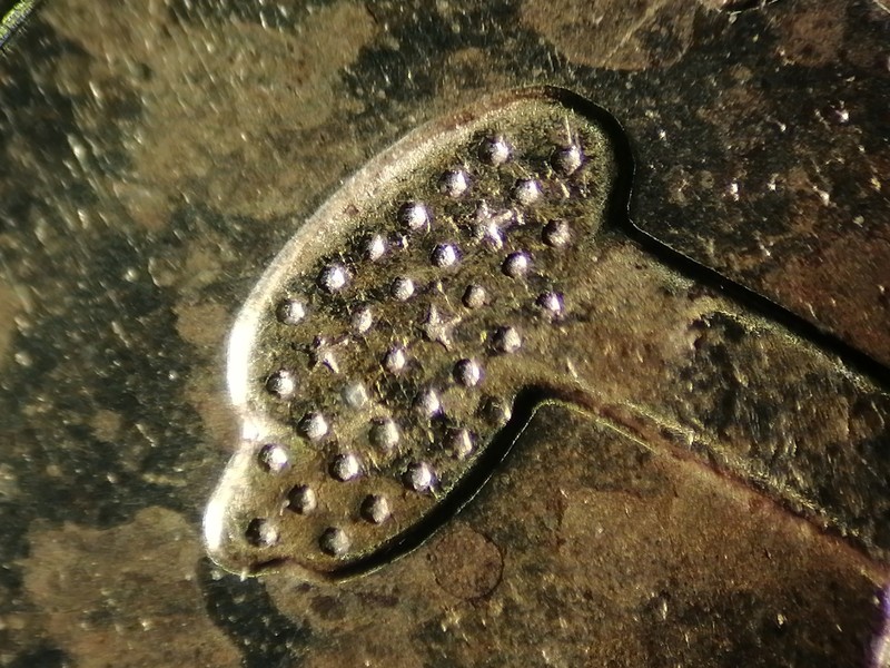 g10.jpg