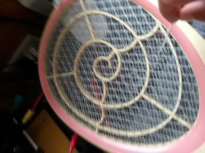 20190822_085022.jpg