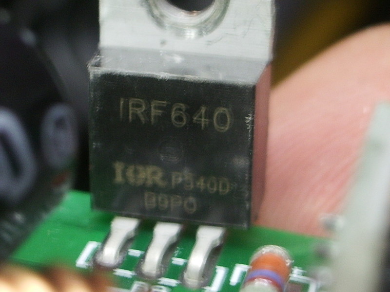IMGP6664.JPG