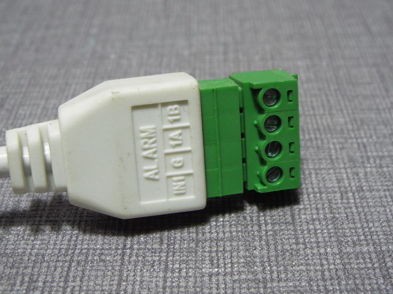 DSCF2581.JPG