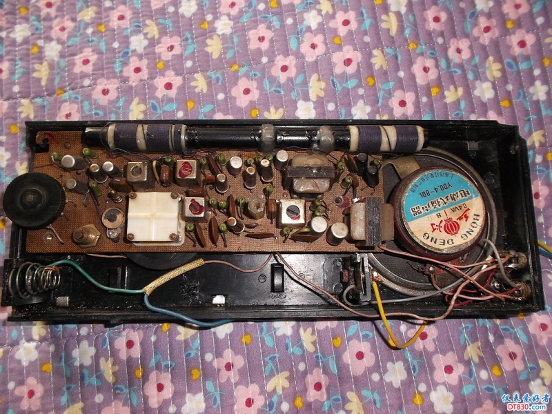 DSCF2457.JPG