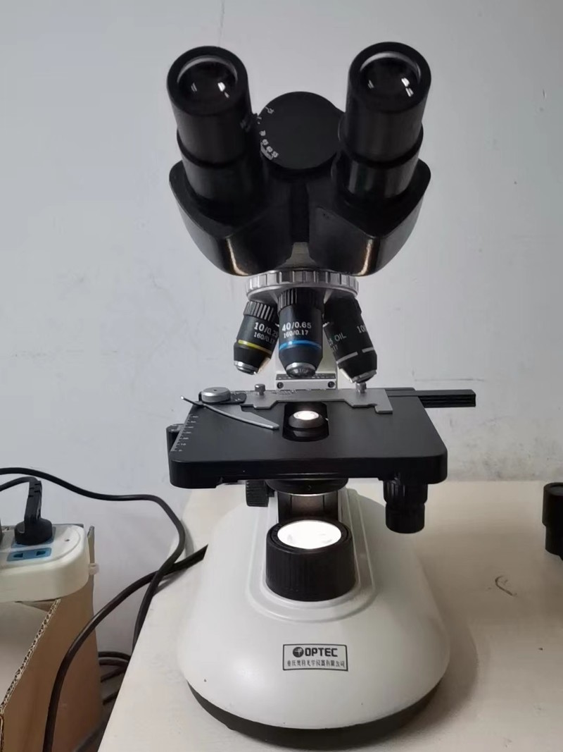 本次使用的显微镜