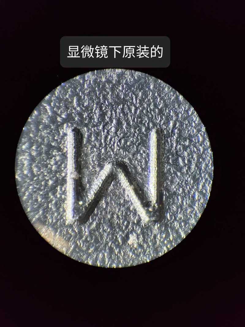 20230320_183724.jpg