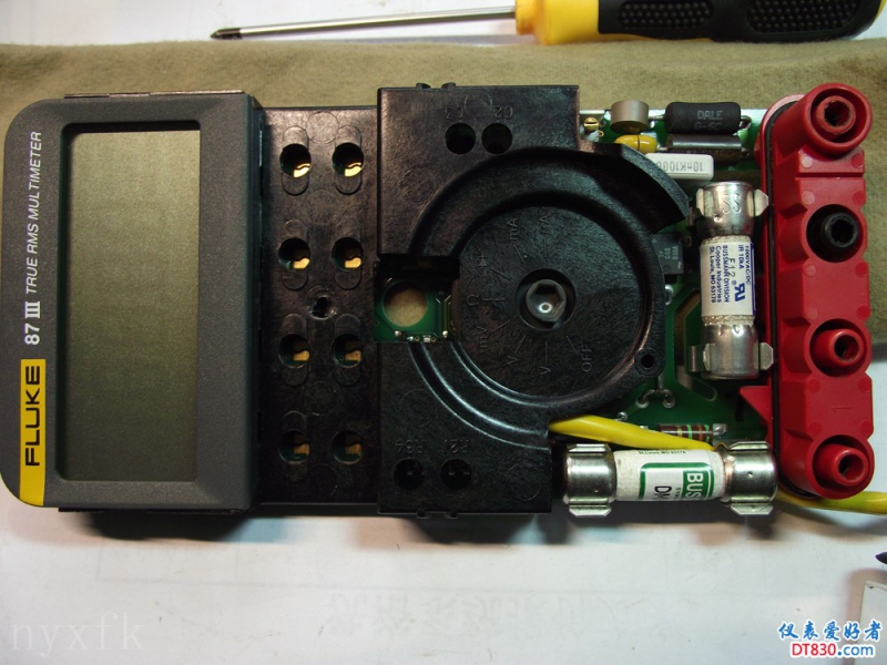 NF 8703.jpg