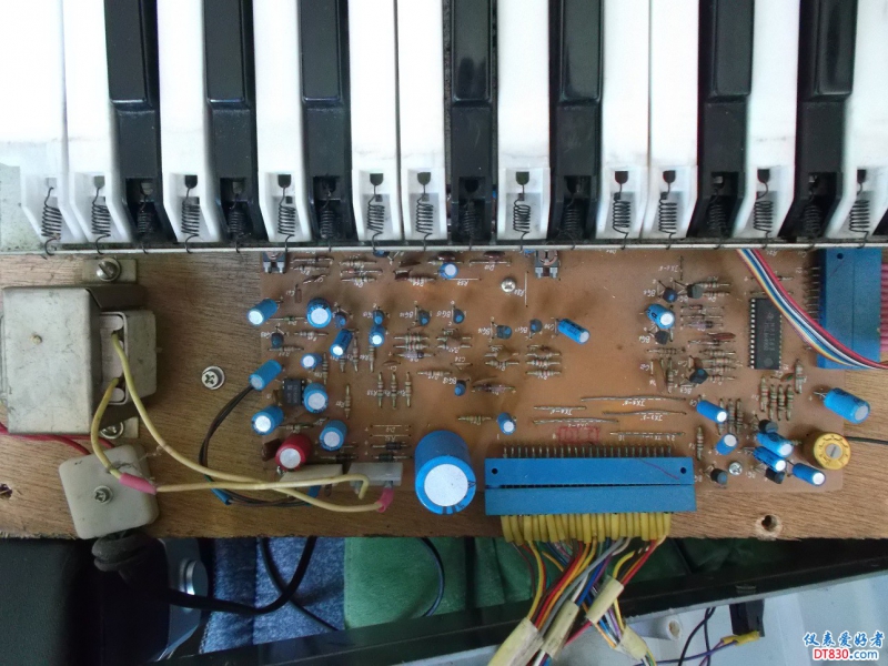 DSCF2593.JPG
