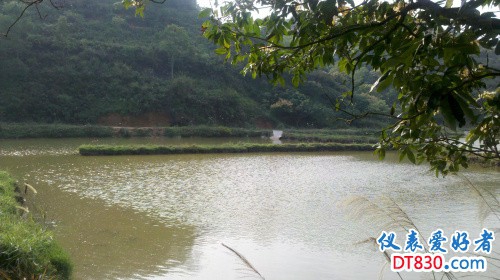 2012-12-08_15-30-46_726.jpg