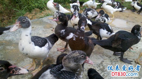 2012-08-11_17-10-11_844.jpg